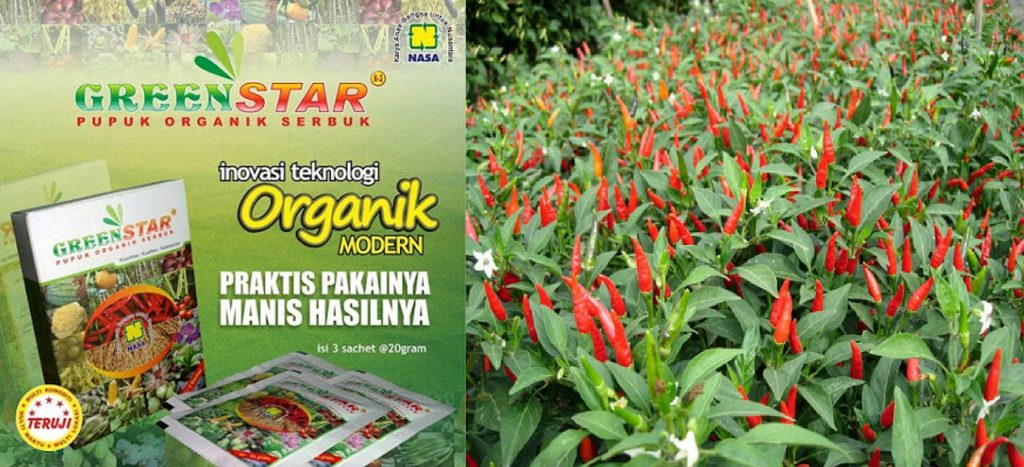 Pupuk Organik Green Star Nasa Untuk Segala Macam Pertanian