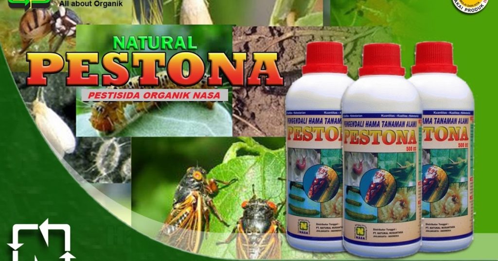 Pestona Obat Pengendali Hama Paling Ampuh